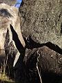 Granitic shadows, Yarrowyck IMGP9789